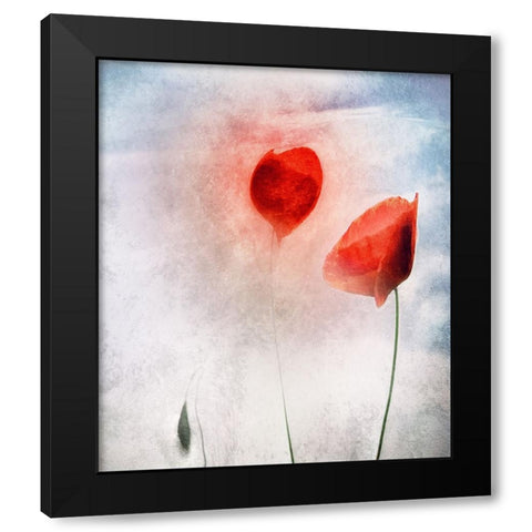 In Flanders Fields Black Modern Wood Framed Art Print by Claes, Gilbert