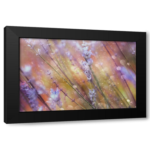 Something Magical Black Modern Wood Framed Art Print by Devos, Delphine