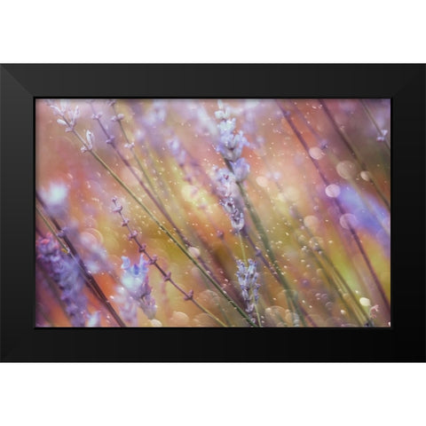 Something Magical Black Modern Wood Framed Art Print by Devos, Delphine