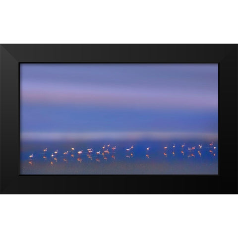 Early Morning Black Modern Wood Framed Art Print by Chang, Phillip