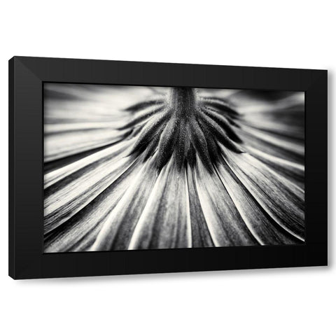 Feeling Down Black Modern Wood Framed Art Print by Van Der, Corinna