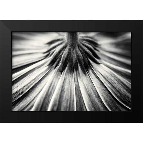 Feeling Down Black Modern Wood Framed Art Print by Van Der, Corinna