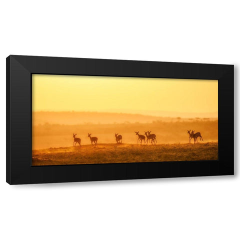 Towards Sunset Black Modern Wood Framed Art Print with Double Matting by Fan, John