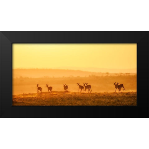 Towards Sunset Black Modern Wood Framed Art Print by Fan, John