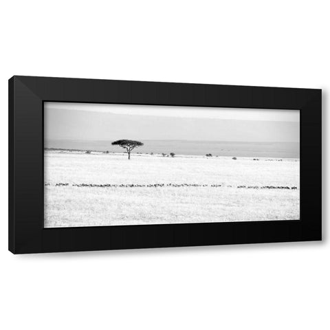 Marching Black Modern Wood Framed Art Print by Fan, John