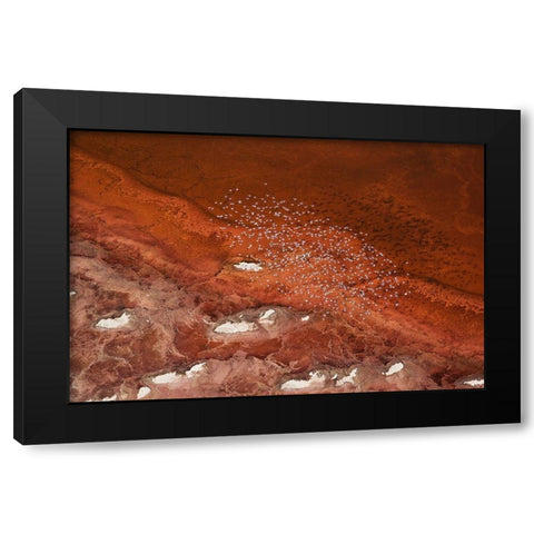 The Overlook Black Modern Wood Framed Art Print by Chang, Phillip