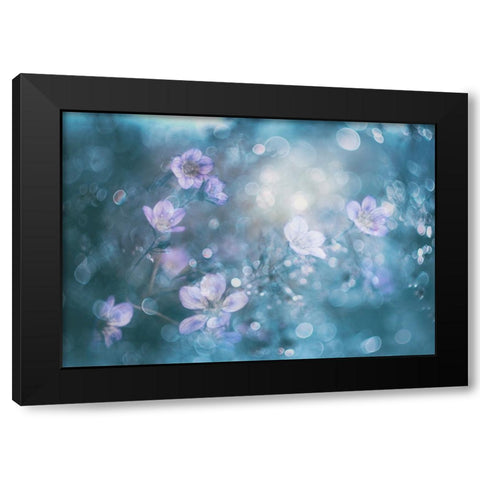 NatureS Jewelry Black Modern Wood Framed Art Print with Double Matting by Devos, Delphine