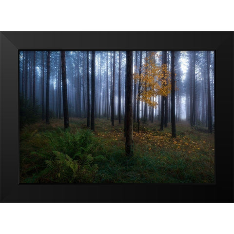 The Dark Light Black Modern Wood Framed Art Print by Lindsten, Christian