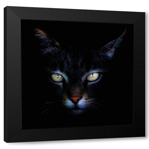 Untitled Black Modern Wood Framed Art Print with Double Matting by Grambone, Antonio