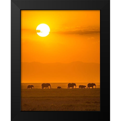Elephants At Sunset Black Modern Wood Framed Art Print by Taylor, Ted