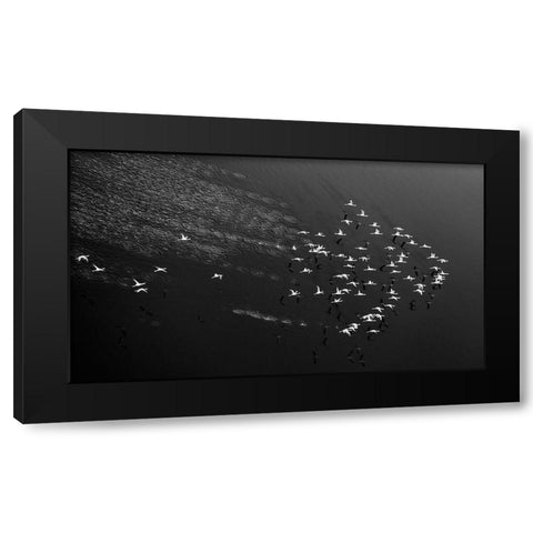 Take Off Black Modern Wood Framed Art Print with Double Matting by Fan, John