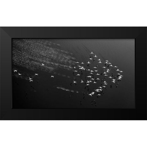 Take Off Black Modern Wood Framed Art Print by Fan, John