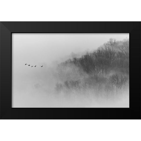Above Mist Black Modern Wood Framed Art Print by Austin, Li Congjun