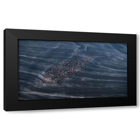 Wave Runner Ii Black Modern Wood Framed Art Print with Double Matting by Fan, John