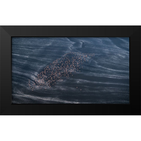 Wave Runner Ii Black Modern Wood Framed Art Print by Fan, John