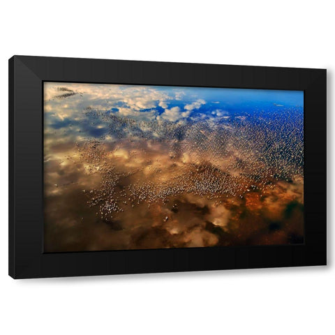 Flamingos Over The Clouds Black Modern Wood Framed Art Print by Chang, Phillip