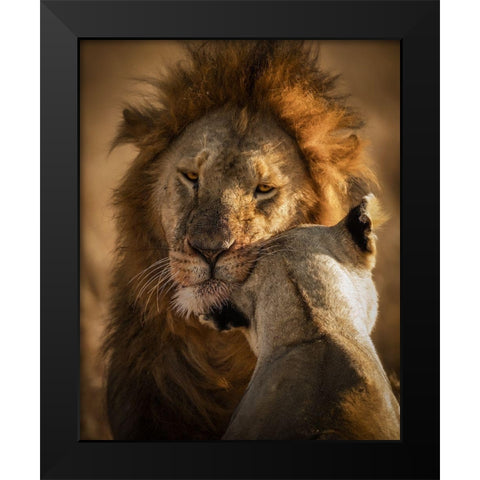 Give Me Some Love Black Modern Wood Framed Art Print by Alnomas, Faisal