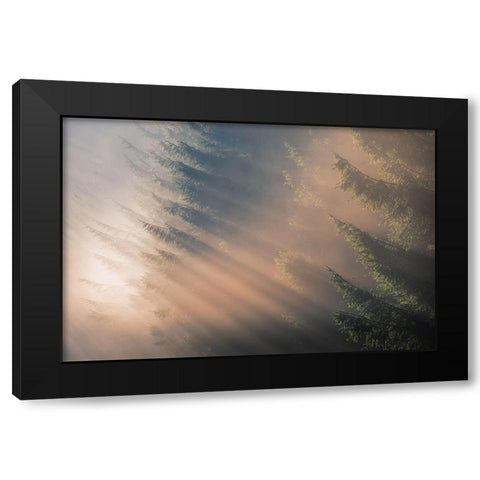 Signs Of Autumn Black Modern Wood Framed Art Print by Popan, Adrian