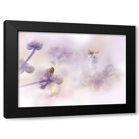 Hello There... Black Modern Wood Framed Art Print by Van Deelen, Ellen