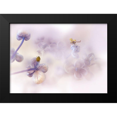 Hello There... Black Modern Wood Framed Art Print by Van Deelen, Ellen