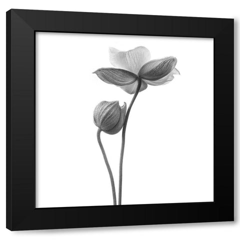 A Little Touch - Monochrome Black Modern Wood Framed Art Print by Gronkjar, Lotte