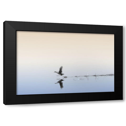 Untitled Black Modern Wood Framed Art Print with Double Matting by Or, Keren