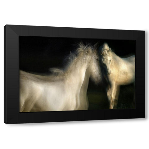 Grace Black Modern Wood Framed Art Print with Double Matting by Malovrh, Milan