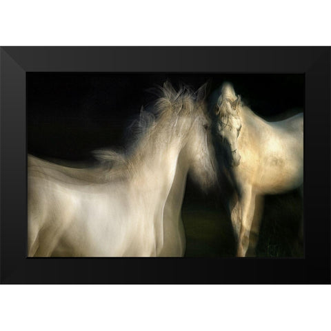 Grace Black Modern Wood Framed Art Print by Malovrh, Milan