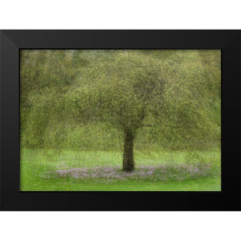 Youth Black Modern Wood Framed Art Print by Holmstrom, Katarina