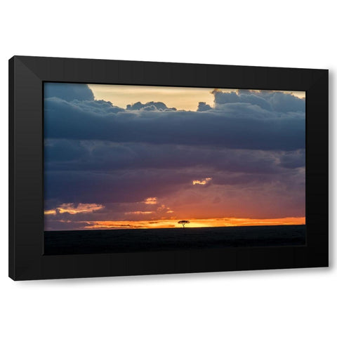 Tree On Fire 2 Black Modern Wood Framed Art Print with Double Matting by C. Sink, Jeffrey