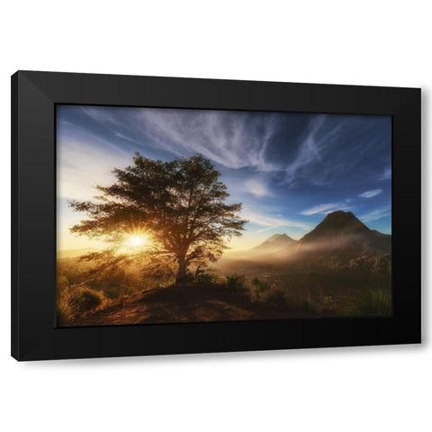 Pinggan Tree. Black Modern Wood Framed Art Print by Pablo De, Juan