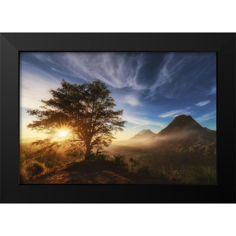 Pinggan Tree. Black Modern Wood Framed Art Print by Pablo De, Juan