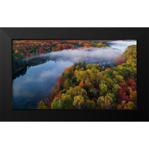 Autumn Symphony Ii Black Modern Wood Framed Art Print by Fan, John