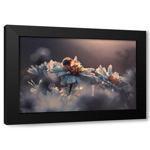 Riding Zone Black Modern Wood Framed Art Print by Bravin, Fabien