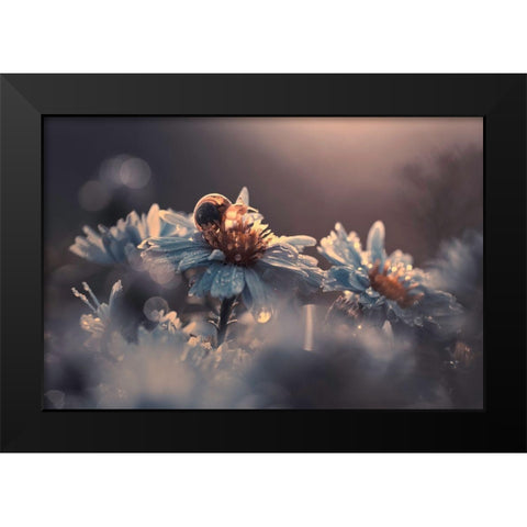 Riding Zone Black Modern Wood Framed Art Print by Bravin, Fabien