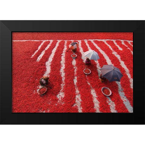 Red Chilies Pickers Black Modern Wood Framed Art Print by Khan Ronnie, Azim