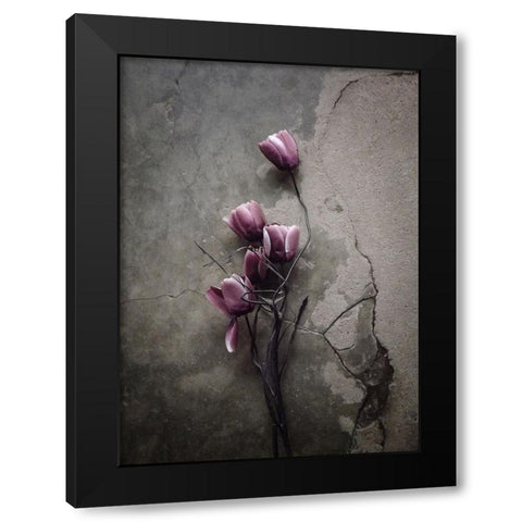 The Tulip Black Modern Wood Framed Art Print with Double Matting by Lagaa, Kahar