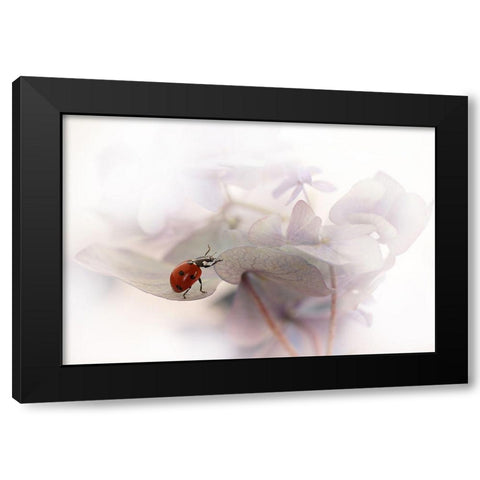 Exercise Black Modern Wood Framed Art Print with Double Matting by Van Deelen, Ellen