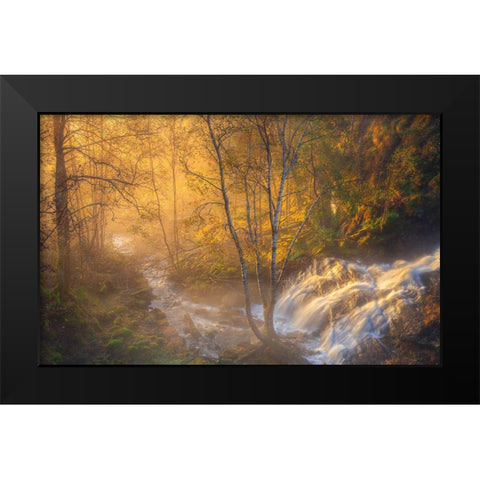 First Light Black Modern Wood Framed Art Print by Askeland, Rune