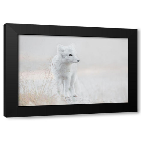 Looking Around Black Modern Wood Framed Art Print by De Hoog, Roelof