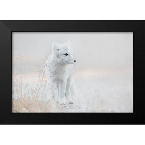 Looking Around Black Modern Wood Framed Art Print by De Hoog, Roelof