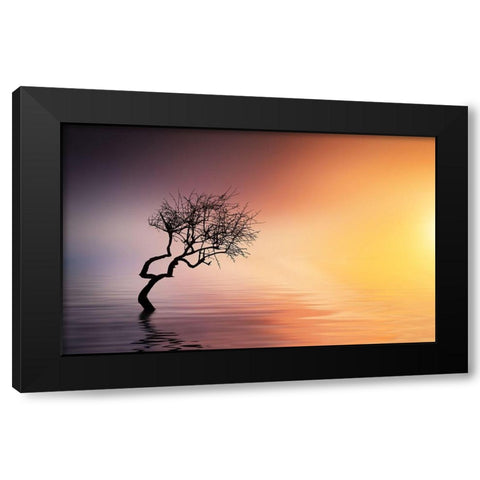 Tree At Lake Black Modern Wood Framed Art Print by Hamiti, Bess
