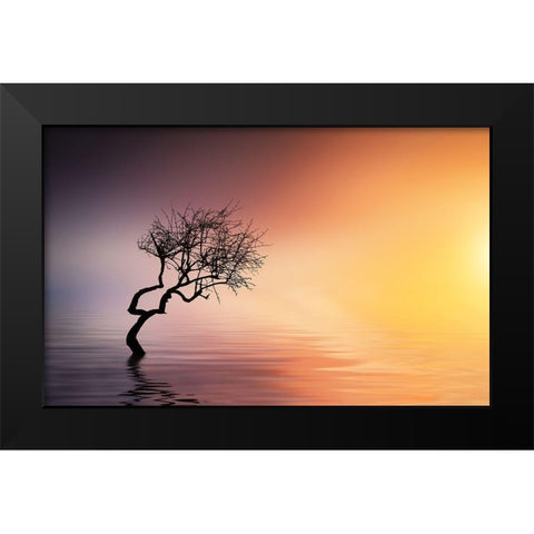 Tree At Lake Black Modern Wood Framed Art Print by Hamiti, Bess