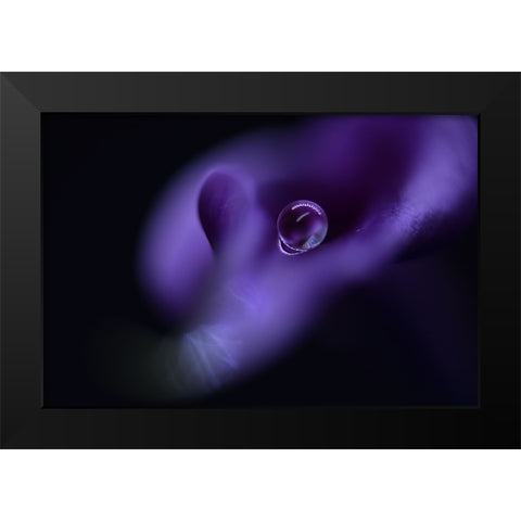 Kalas Pearl Black Modern Wood Framed Art Print by Westum, Heidi