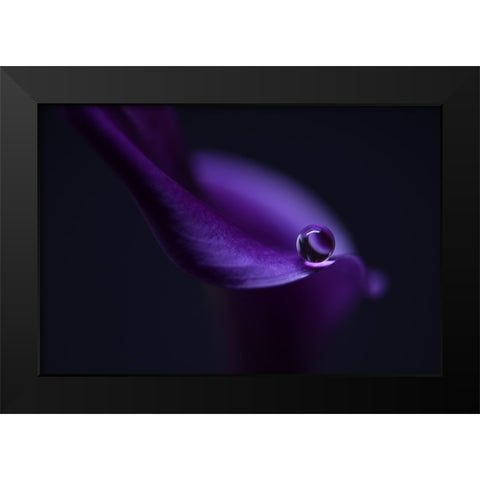 Kalas Pearl LL Black Modern Wood Framed Art Print by Westum, Heidi