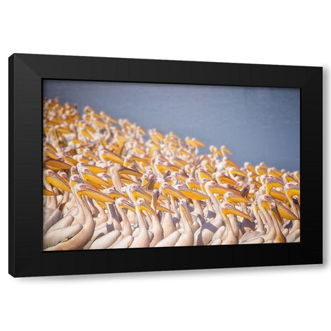 Untitled Black Modern Wood Framed Art Print with Double Matting by Or, Keren