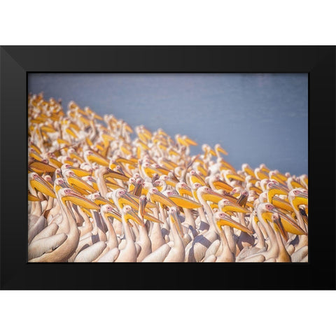 Untitled Black Modern Wood Framed Art Print by Or, Keren