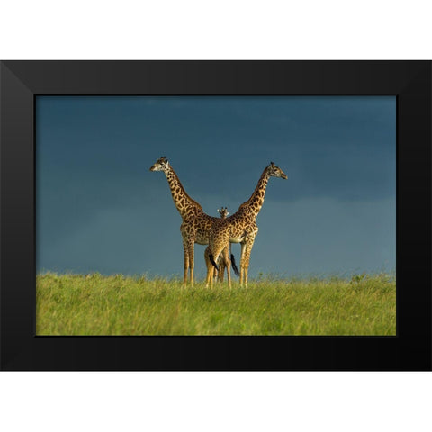 Between The Two Black Modern Wood Framed Art Print by Mei, Massimo