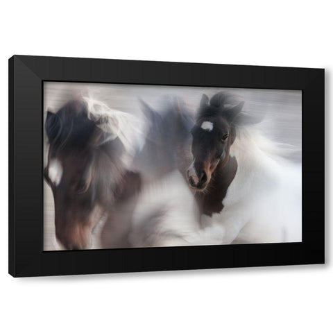 Runaway Horse Black Modern Wood Framed Art Print with Double Matting by Benezech, Martine