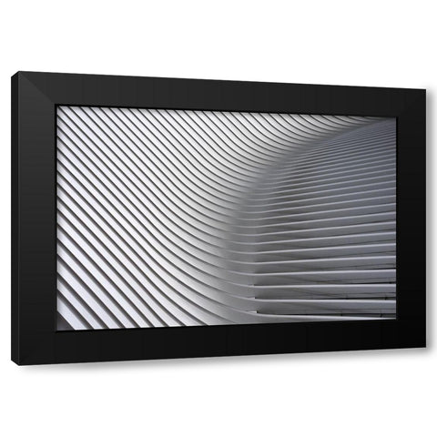 Calatrava Curves # 2 Black Modern Wood Framed Art Print with Double Matting by Wride, Linda